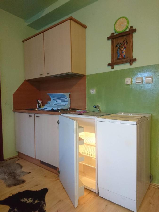 Apartment Vila Jezero Златибор Экстерьер фото